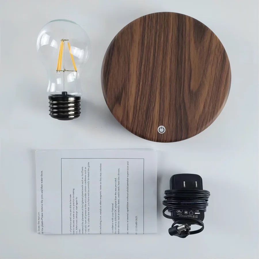 Magnetic Levitation Desk Lamp